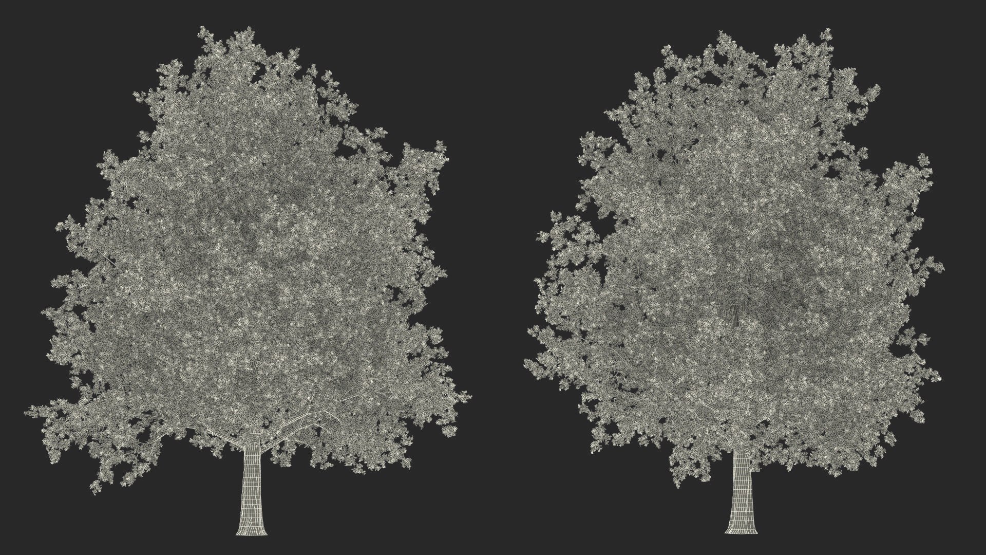 3D Realistic Maple Tree https://p.turbosquid.com/ts-thumb/x2/Zyv87k/ph/realisticmapletreemb3dmodel031/jpg/1708574779/1920x1080/fit_q87/8944db1ee0acd359a2415d25527894654481c382/realisticmapletreemb3dmodel031.jpg