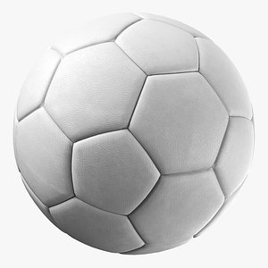 Generic White Soccer Ball