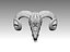 3D model bull goat statue head