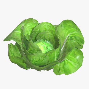 3D Lettuce Low Poly
