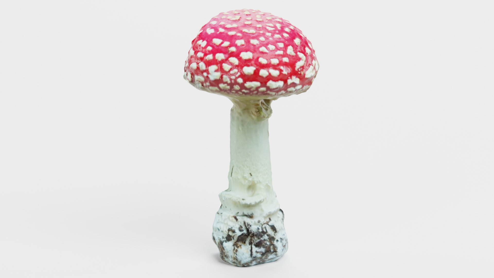 Amanita Muscaria 3D model https://p.turbosquid.com/ts-thumb/x2/jnKl5p/CM/amanita01d/png/1728907436/1920x1080/fit_q87/8b34d1b7b8ef79442454923d4384c2c0681c9883/amanita01d.jpg