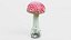 Amanita Muscaria