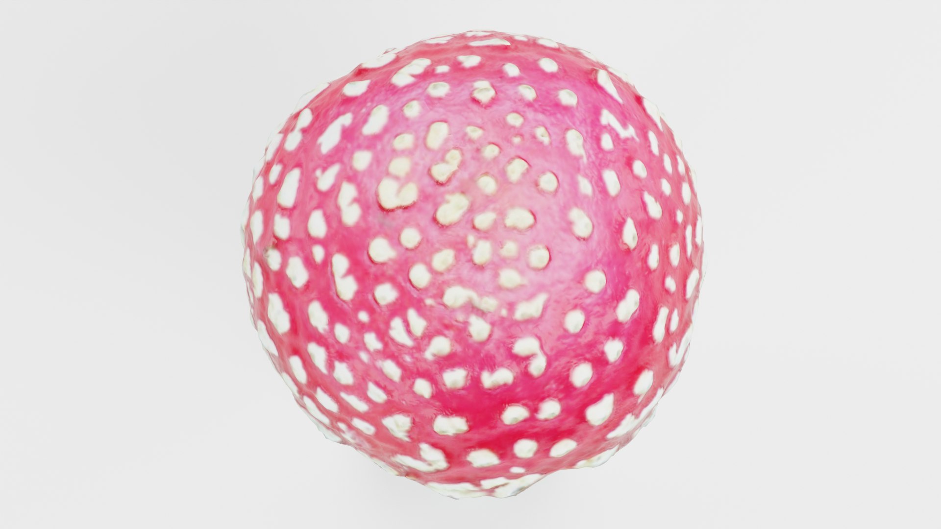Amanita Muscaria 3D model https://p.turbosquid.com/ts-thumb/x2/jnKl5p/Po/amanita01h/png/1728907440/1920x1080/fit_q87/7bdf8312229b86d58b182efe1b6d495f7a6c0c56/amanita01h.jpg