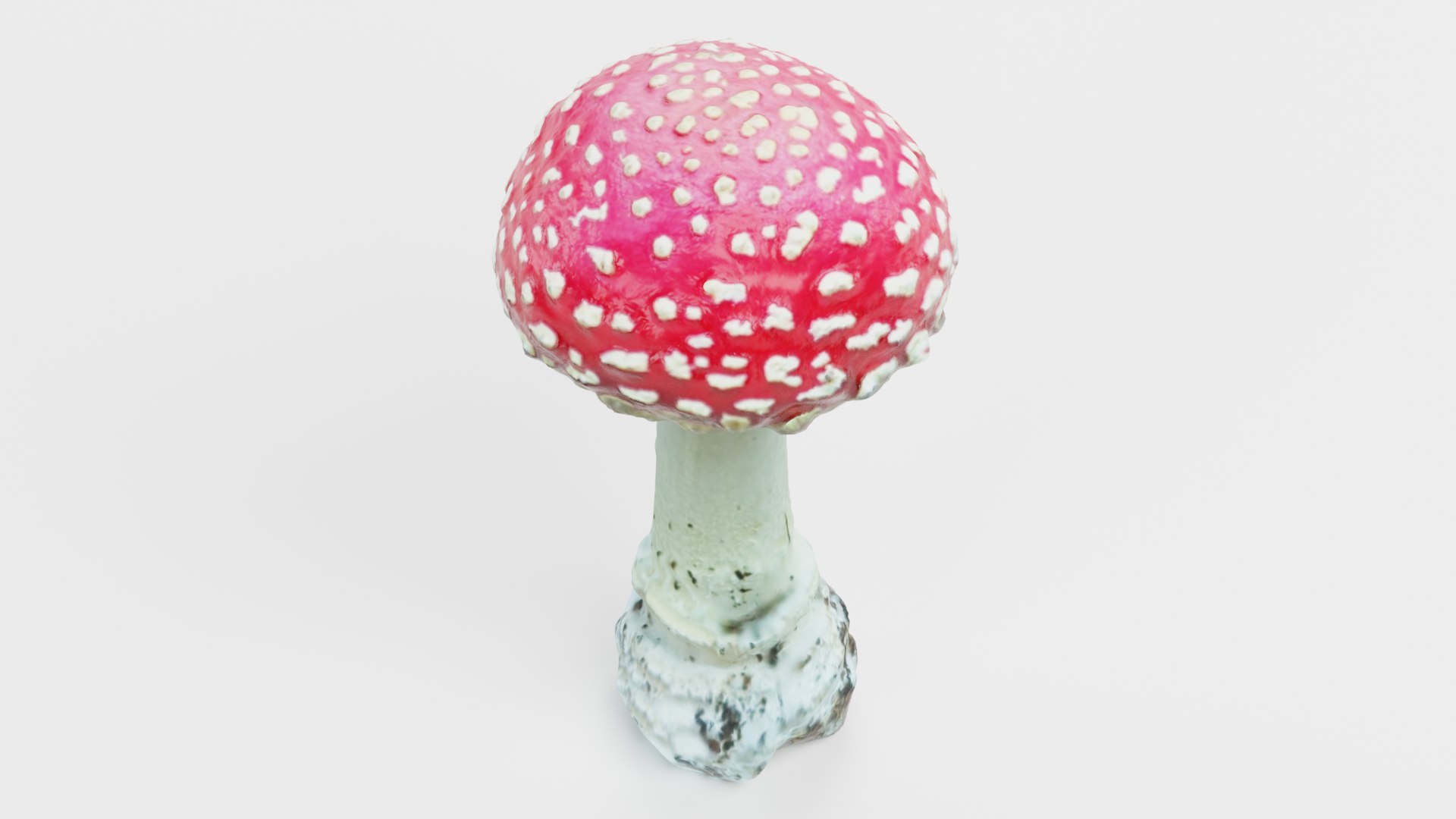 Amanita Muscaria 3D model https://p.turbosquid.com/ts-thumb/x2/jnKl5p/ZV/amanita01f/png/1728907439/1920x1080/fit_q87/f3ba1b8792461d455f7dee464354a59a7a89d8d9/amanita01f.jpg