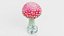 Amanita Muscaria