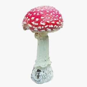 Amanita Muscaria 3D model