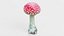 Amanita Muscaria
