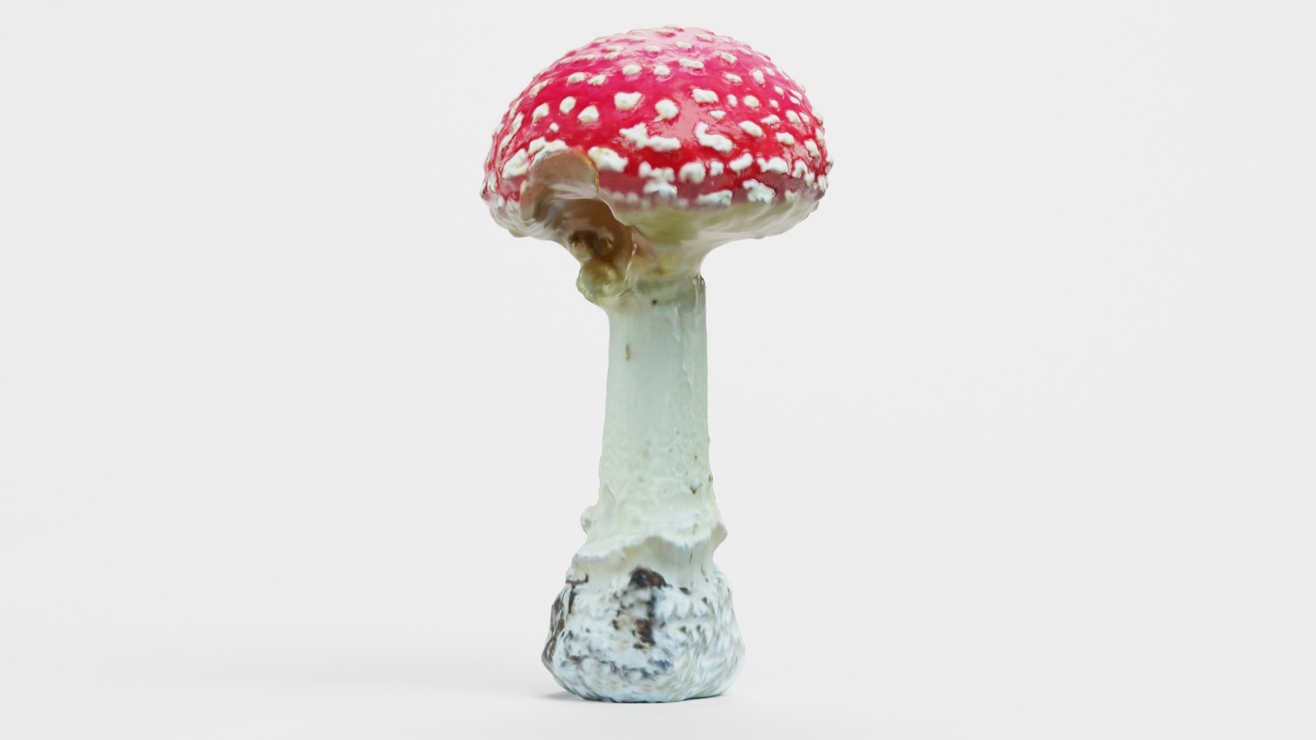 Amanita Muscaria 3D model https://p.turbosquid.com/ts-thumb/x2/jnKl5p/w9/amanita01c/png/1728907433/1920x1080/fit_q87/e206caadf0fb8a2985fdffdc59fec659b6f86a83/amanita01c.jpg