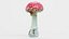 Amanita Muscaria