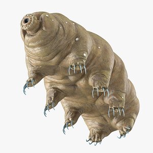 Animal Tardigrade Rigged For Maya