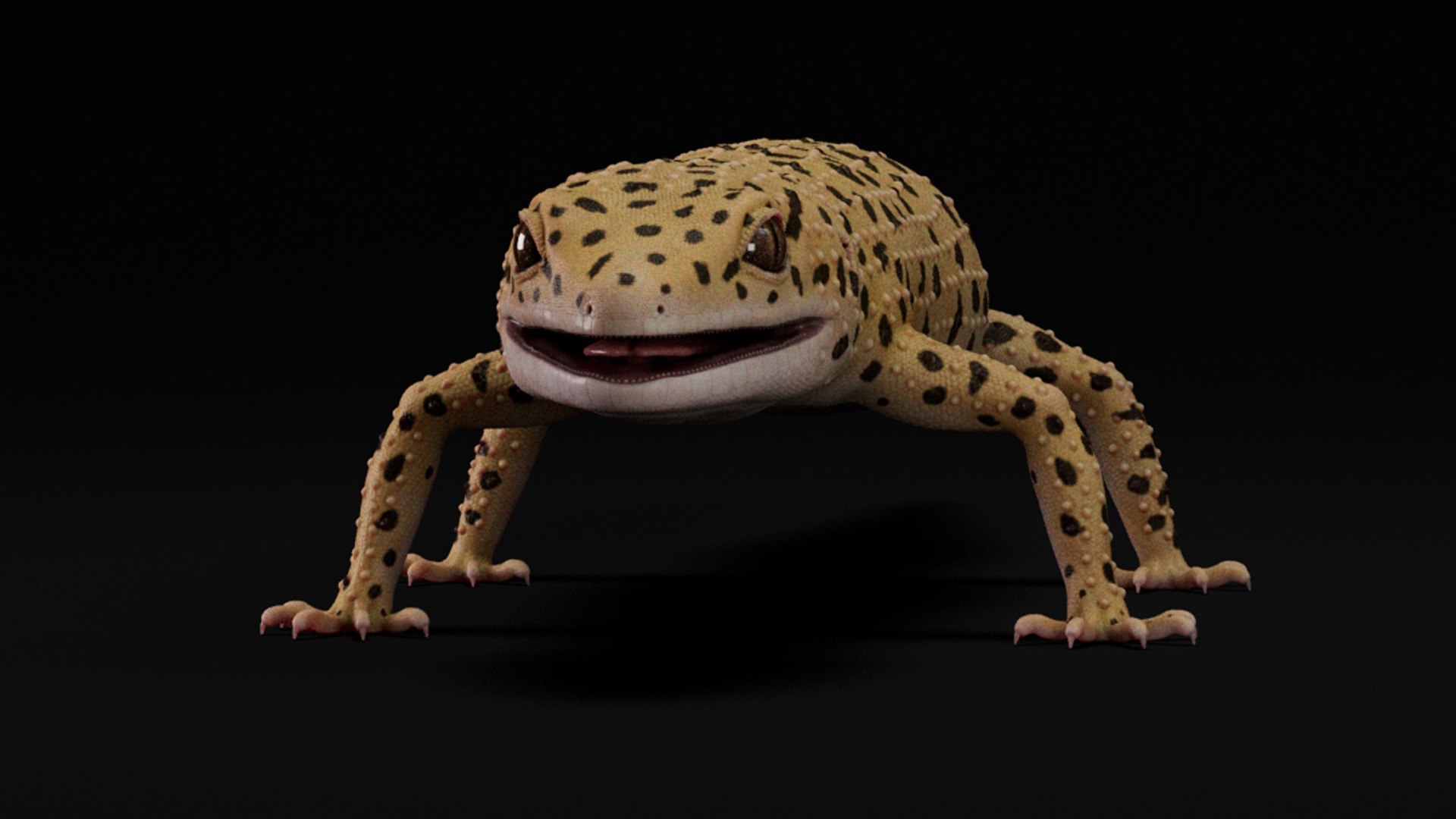 3D 4K Leopard Gecko model https://p.turbosquid.com/ts-thumb/x2/yBrIVS/Sq/01copy/jpg/1754805956/1920x1080/fit_q87/b3141da771e58494b191c796b1bd268890c5f171/01copy.jpg