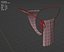 Fantasy Lingerie base mesh CC BY