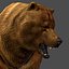 max brown bear animation