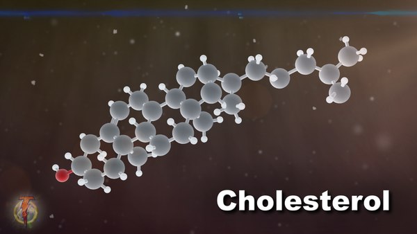 cholesterolbanner.jpg