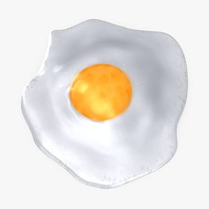 Fried Egg 02 3D