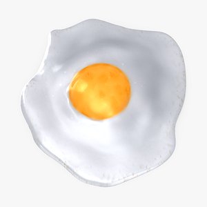 Fried Egg 02