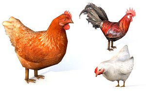 Chicken Pack Lowpoly Rigg Animated