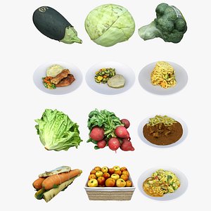 mixed food vegetables meal model