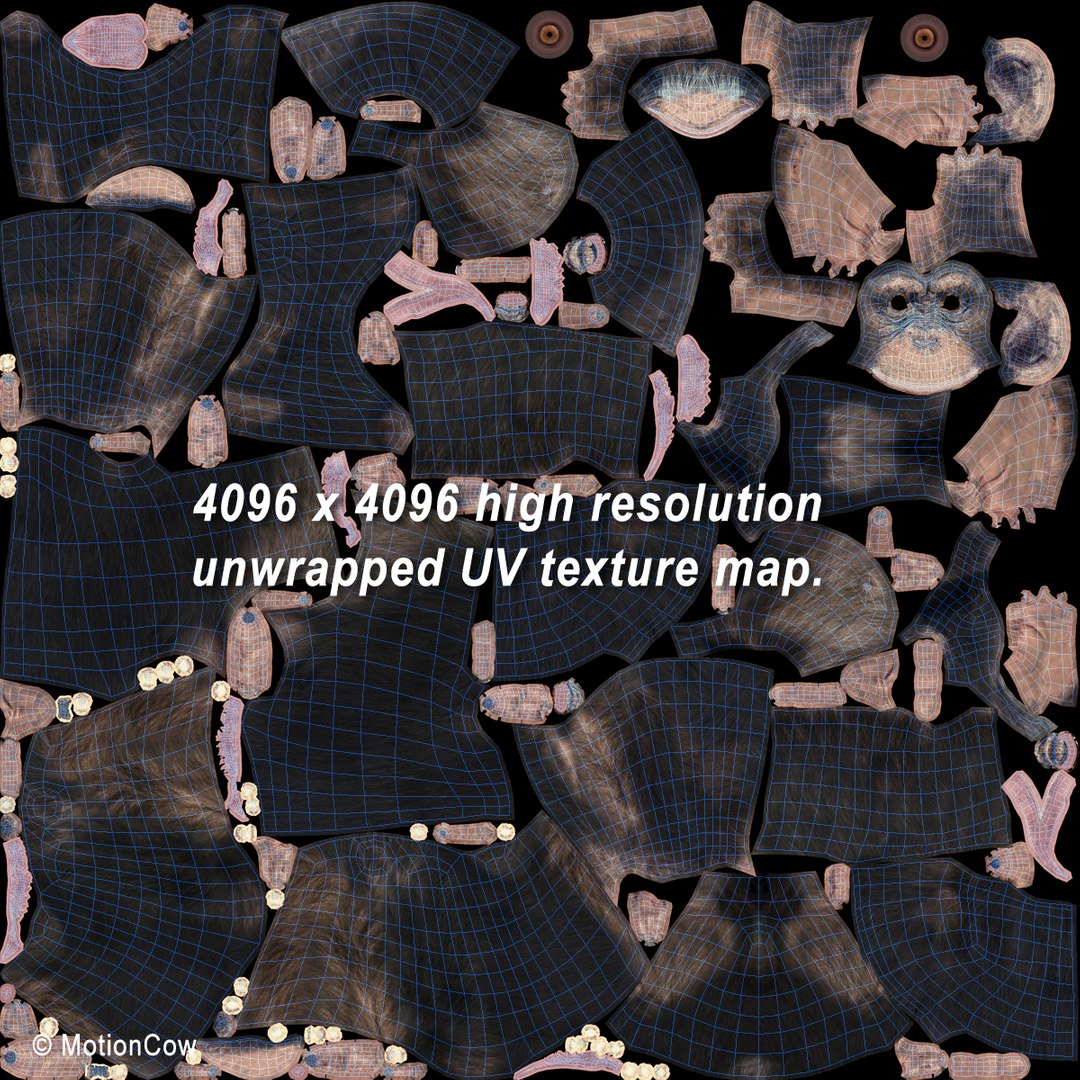 3d realistic rigged model https://p.turbosquid.com/ts-thumb/x3/Jut0W7/owR3NG13/chimpanzee_uv/jpg/1361868061/1920x1080/fit_q87/5fcb7d6716fe7257e995b414a1f6d827834ed36c/chimpanzee_uv.jpg