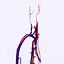 3d model basic circulatory 2010