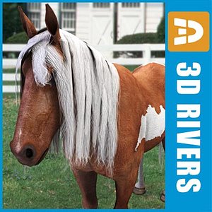 3d colored pony horse model