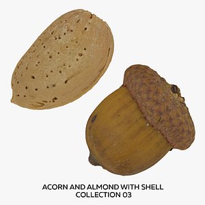 Acorn and Almond with Shell Collection 03 - 2 models RAW Scans 3D
