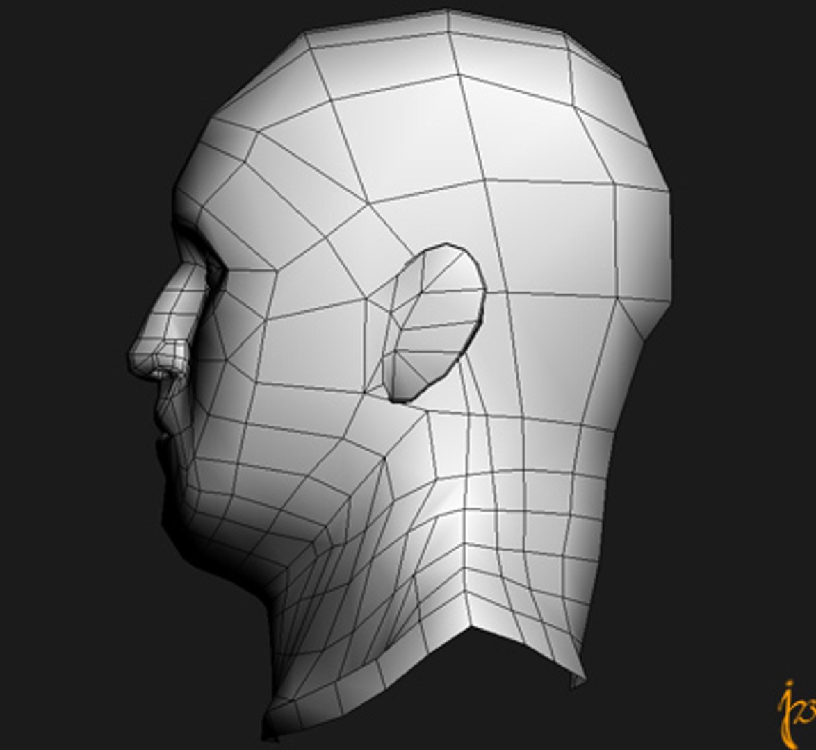 man topology 3d model