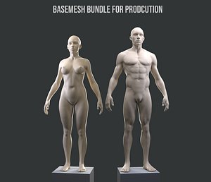 Male/Female Base mesh for production