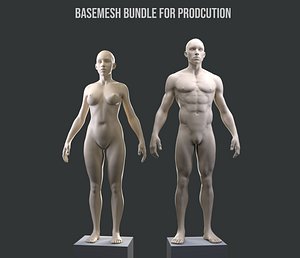 Male/Female Base mesh for production