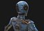 Cyborg femminile Low Poly