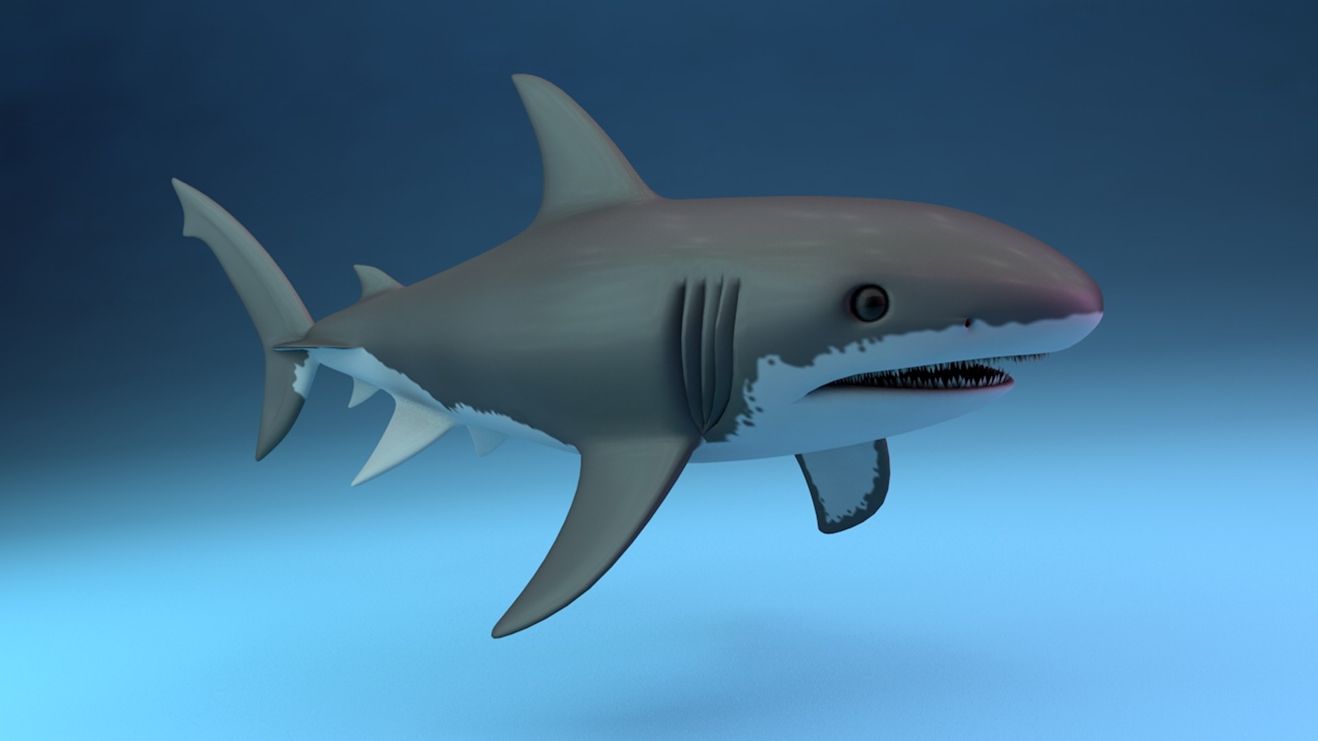 White Shark 3D Model - TurboSquid 1462808