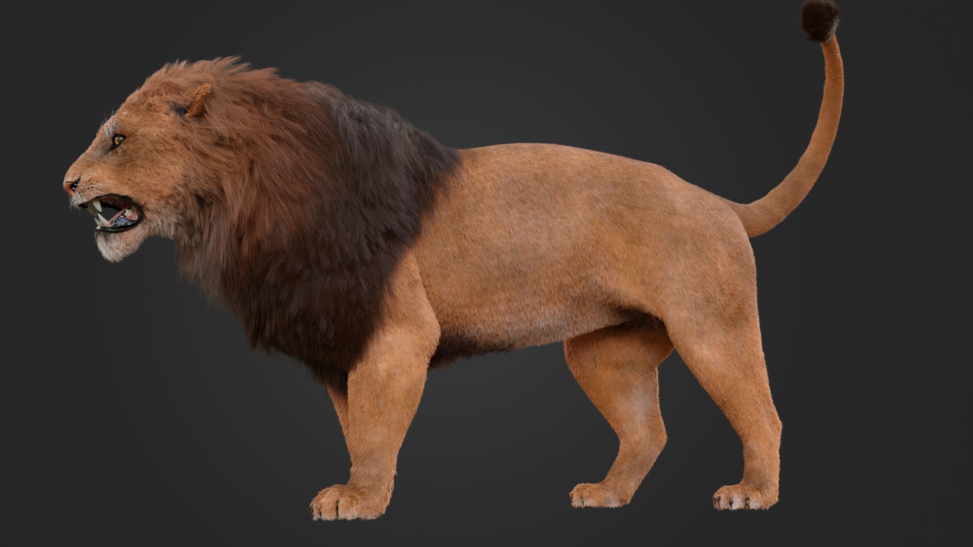 3D MALE LION https://p.turbosquid.com/ts-thumb/x3/zkRMYX/Kj/4/png/1752587753/1920x1080/fit_q87/c1482799c9af352e74b6b30b02fb175201fea9ba/4.jpg