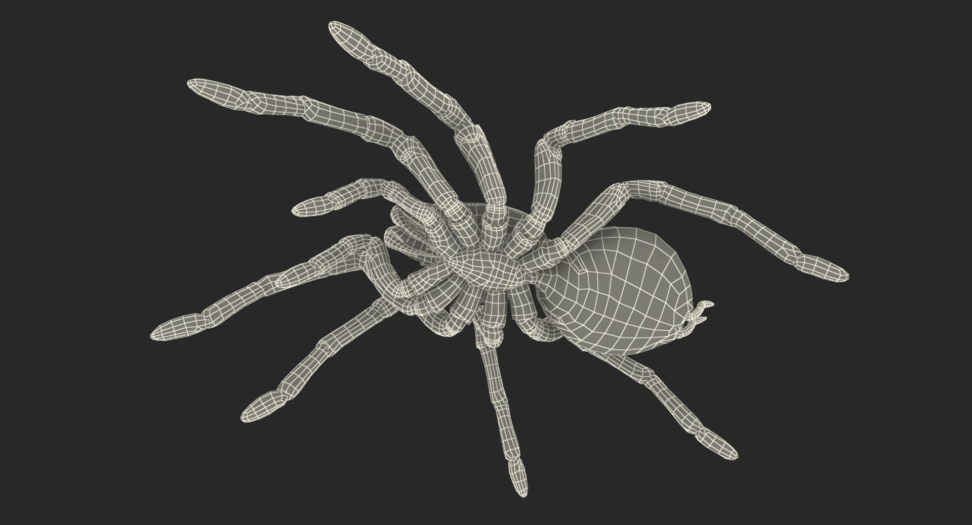 Rigged Creeping Insects Collection 3 model https://p.turbosquid.com/ts-thumb/x4/8ozq9L/35/riggedcreepinginsectscollection3mb3dmodel102/jpg/1649709937/1920x1080/fit_q87/ce873a4987d4f289864e14cb1c0a1611917058d9/riggedcreepinginsectscollection3mb3dmodel102.jpg
