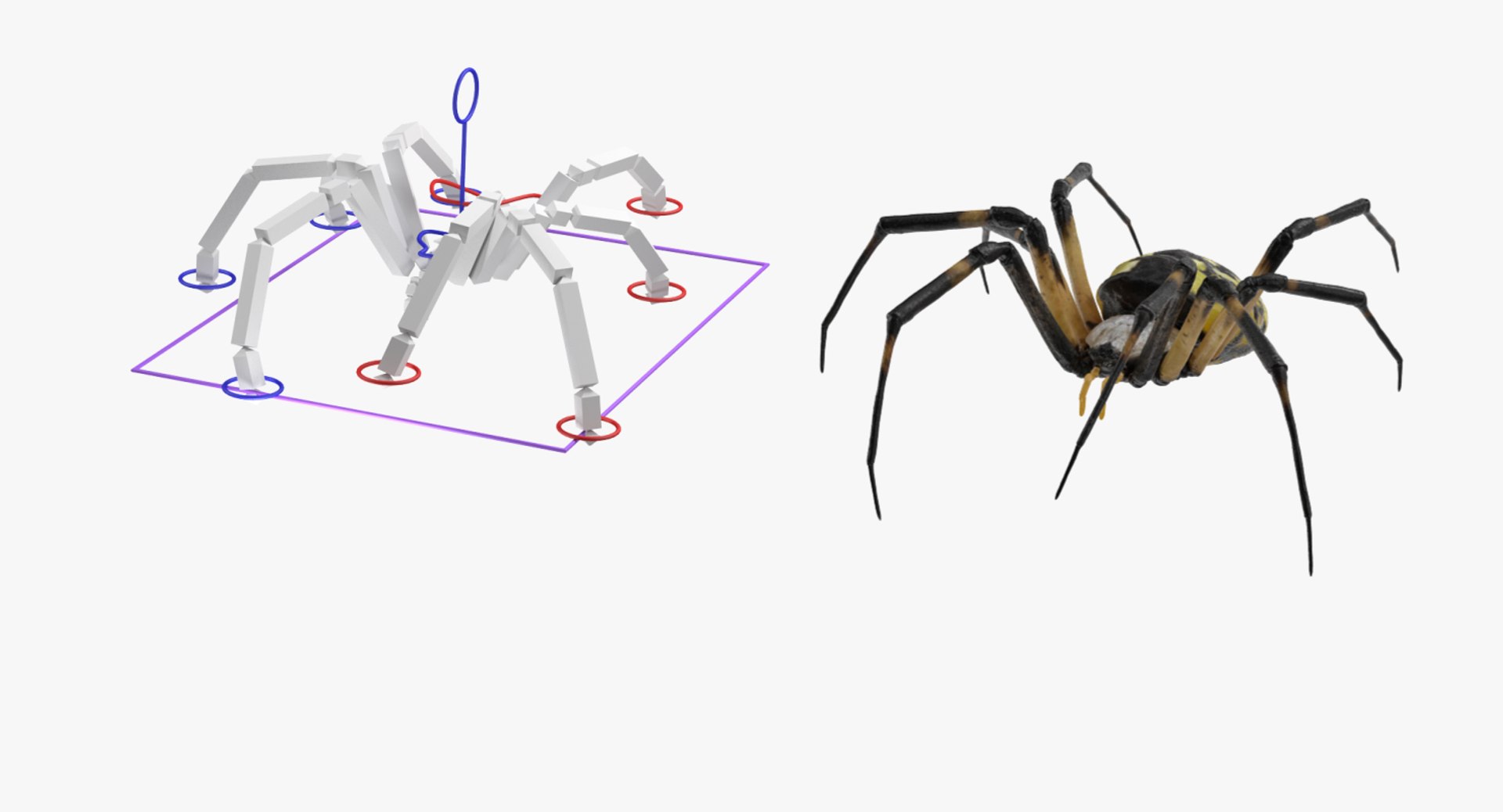 Rigged Creeping Insects Collection 3 model https://p.turbosquid.com/ts-thumb/x4/8ozq9L/6W/riggedcreepinginsectscollection3mb3dmodel070/jpg/1649709841/1920x1080/fit_q87/3df42963329142c5ef1a7f57391d001510431a28/riggedcreepinginsectscollection3mb3dmodel070.jpg