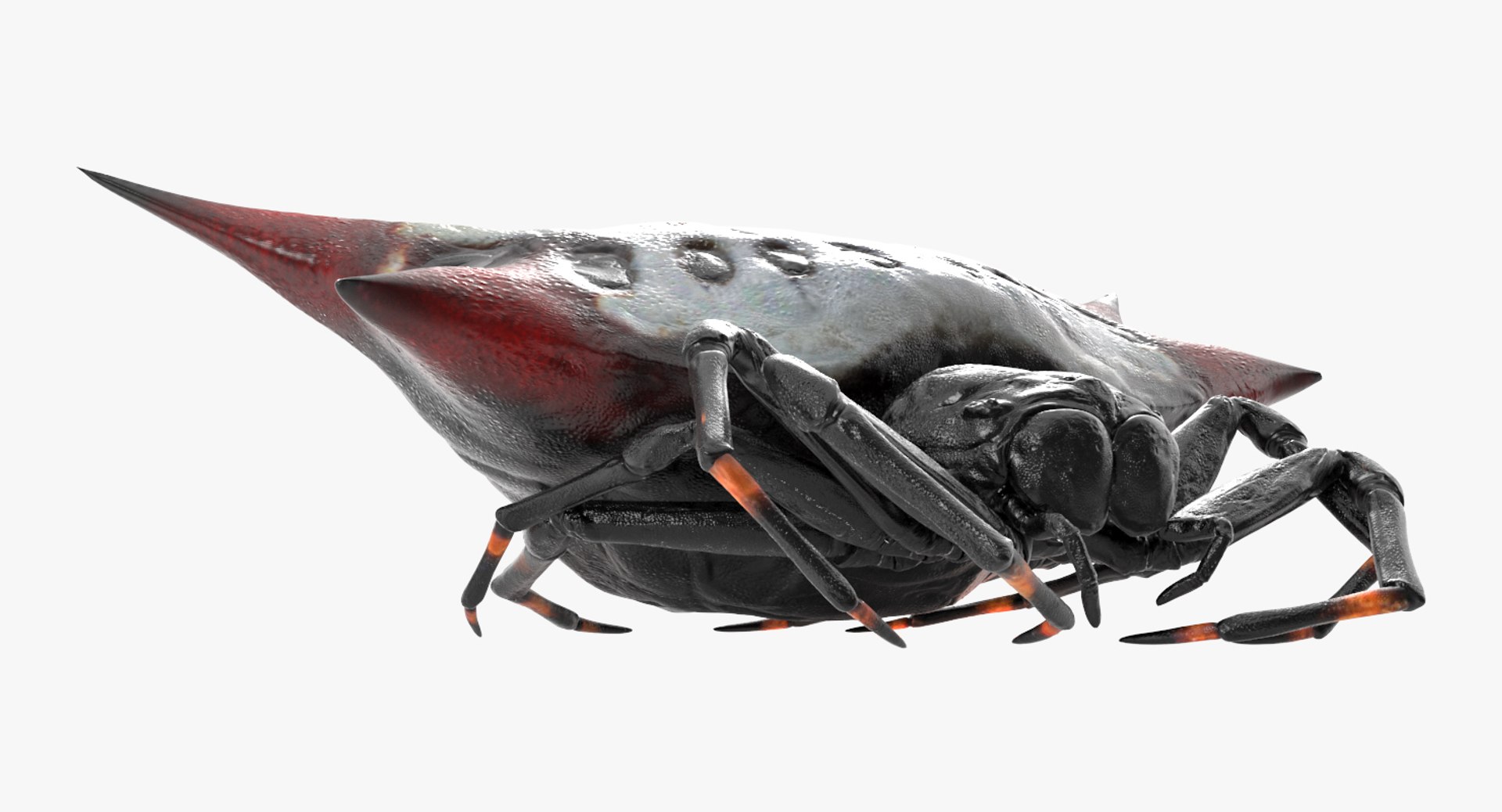 Rigged Creeping Insects Collection 3 model https://p.turbosquid.com/ts-thumb/x4/8ozq9L/Gz/riggedcreepinginsectscollection3mb3dmodel075/jpg/1649709856/1920x1080/fit_q87/5c1ed135acc7d926465123deca542aec1a7cb0e0/riggedcreepinginsectscollection3mb3dmodel075.jpg