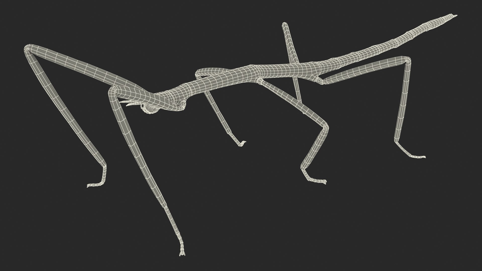 Rigged Creeping Insects Collection 3 model https://p.turbosquid.com/ts-thumb/x4/8ozq9L/Hw/riggedcreepinginsectscollection3mb3dmodel101/jpg/1649709934/1920x1080/fit_q87/e623fd0774aa0ff81790b2f0180e1e3253013c46/riggedcreepinginsectscollection3mb3dmodel101.jpg