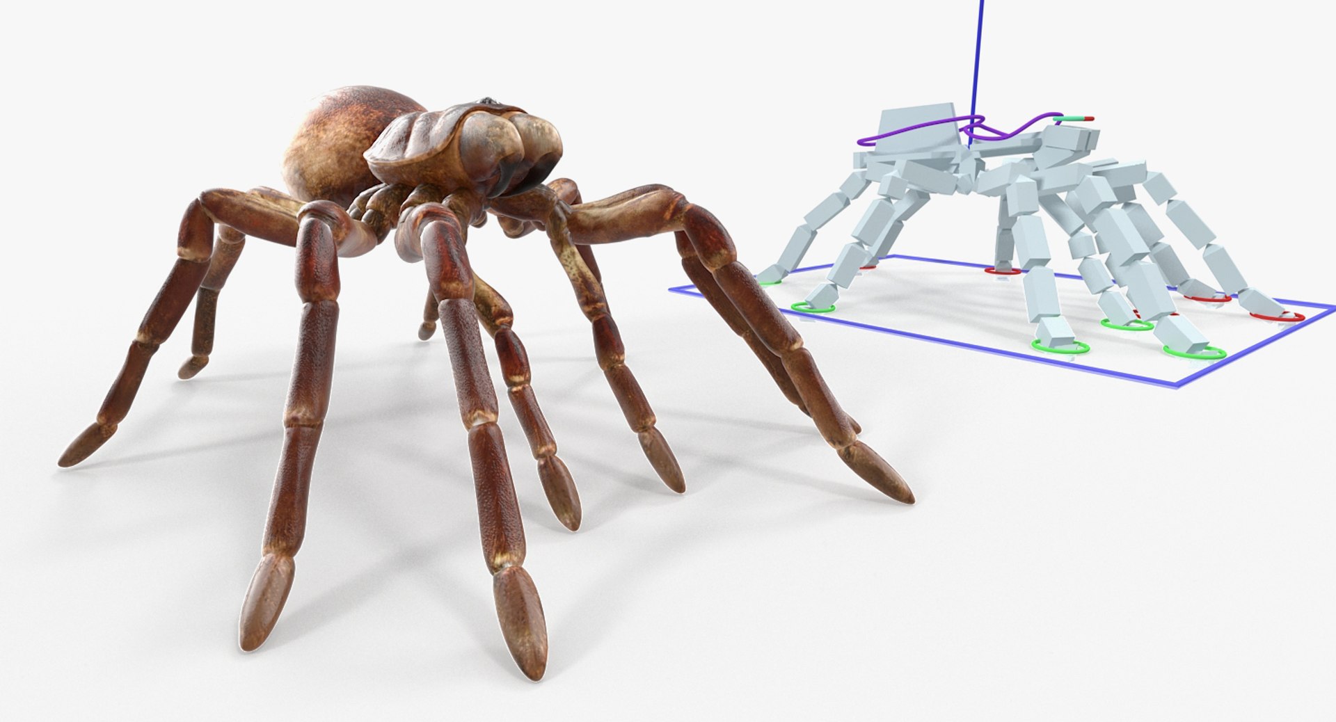 Rigged Creeping Insects Collection 3 model https://p.turbosquid.com/ts-thumb/x4/8ozq9L/OJ/riggedcreepinginsectscollection3mb3dmodel045/jpg/1649709767/1920x1080/fit_q87/f2735b2438da9f49757d533091a7d4fbcd668a2a/riggedcreepinginsectscollection3mb3dmodel045.jpg