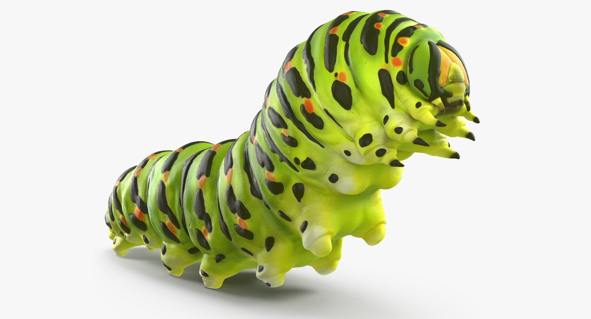 Rigged Creeping Insects Collection 3 model https://p.turbosquid.com/ts-thumb/x4/8ozq9L/Oi/riggedcreepinginsectscollection3mb3dmodel080/jpg/1649709871/1920x1080/fit_q87/03cb47a9230ef6a82482c3fb002d66edbad6732f/riggedcreepinginsectscollection3mb3dmodel080.jpg