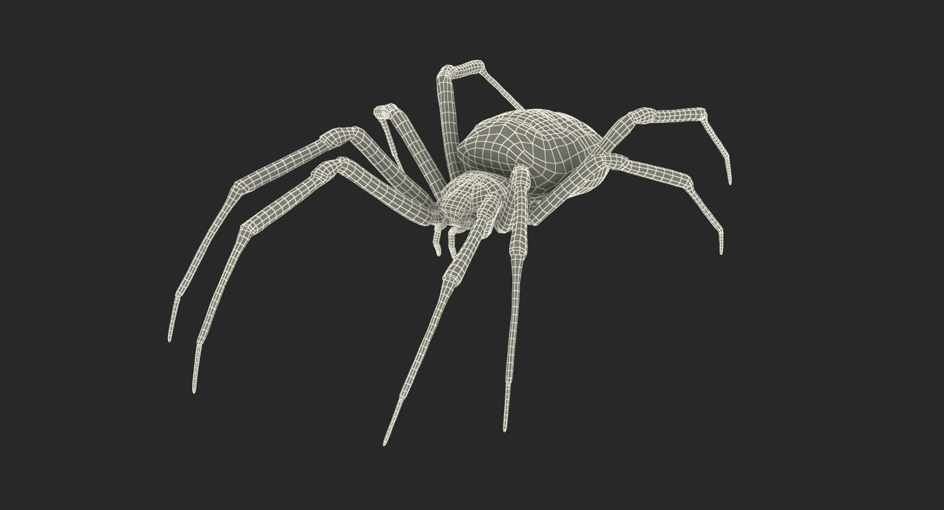 Rigged Creeping Insects Collection 3 model https://p.turbosquid.com/ts-thumb/x4/8ozq9L/be/argiope_aurantia_or_yellow_garden_spider_rigged_361/jpg/1649710614/1920x1080/turn_fit_q99/967939f883be1f9d7874794bec37488f14fbbc8e/argiope_aurantia_or_yellow_garden_spider_rigged_361-1.jpg