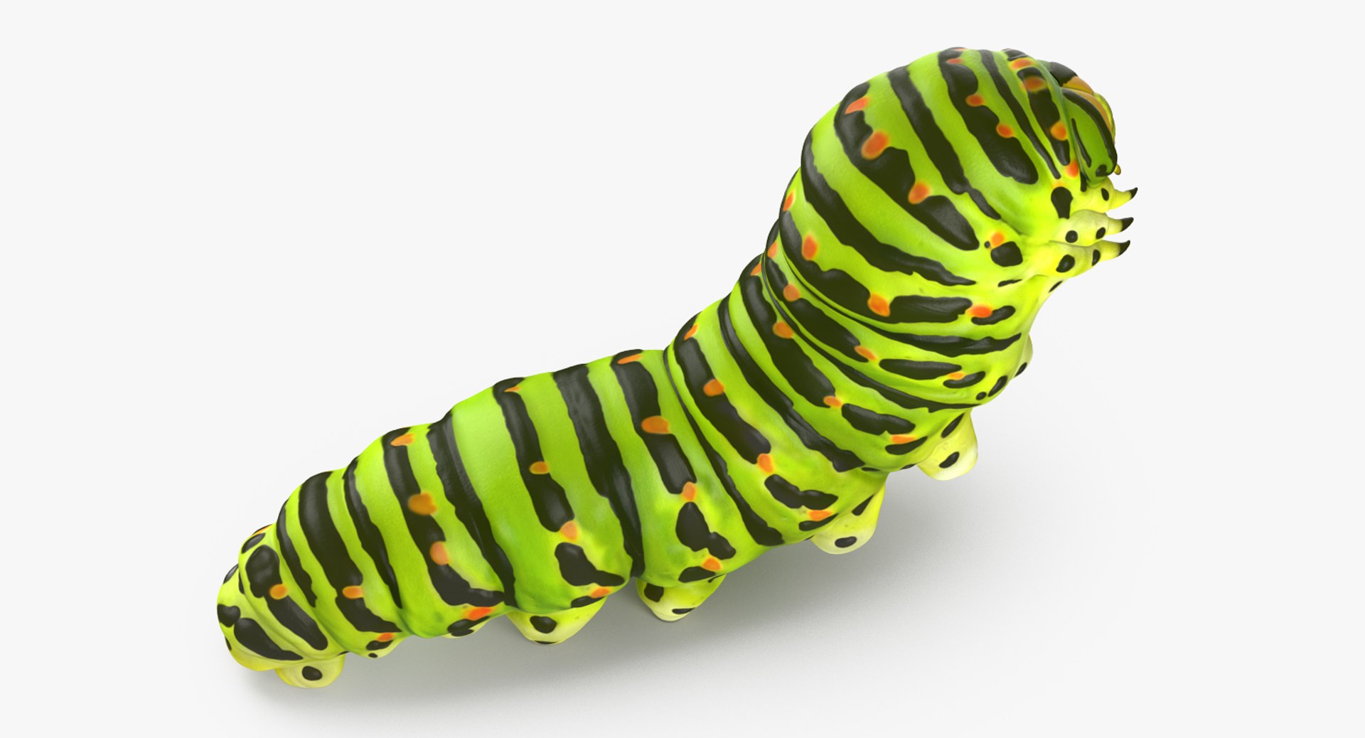 Rigged Creeping Insects Collection 3 model https://p.turbosquid.com/ts-thumb/x4/8ozq9L/de/riggedcreepinginsectscollection3mb3dmodel082/jpg/1649709877/1920x1080/fit_q87/d144de1489820ae329fa6f1d227972b89f53ecd5/riggedcreepinginsectscollection3mb3dmodel082.jpg
