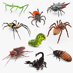 Rigged Creeping Insects Collection 3