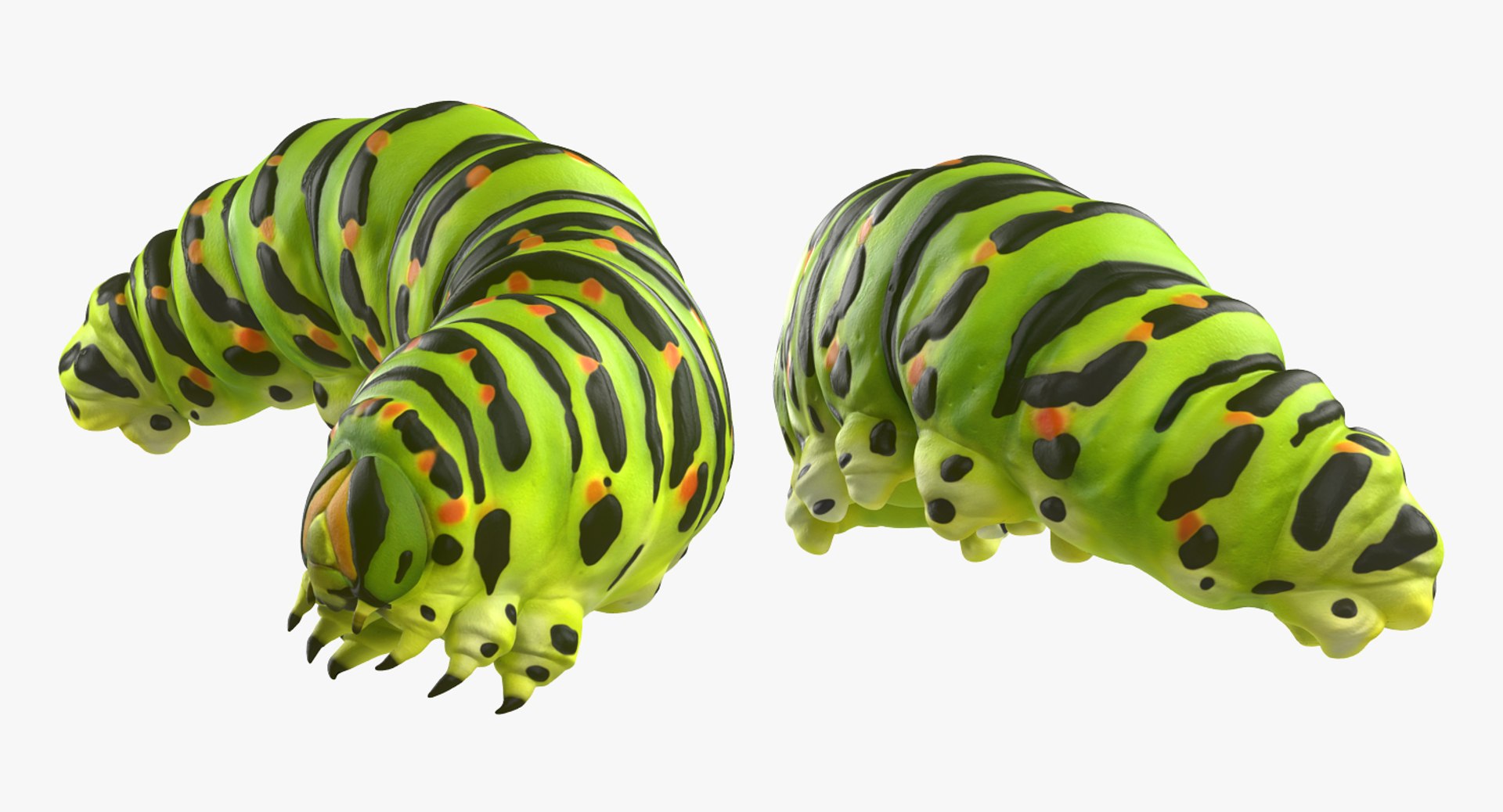 Rigged Creeping Insects Collection 3 model https://p.turbosquid.com/ts-thumb/x4/8ozq9L/jz/riggedcreepinginsectscollection3mb3dmodel088/jpg/1649709896/1920x1080/fit_q87/45809f4218e8f8a635cdf0da7e07a44bc1a503fd/riggedcreepinginsectscollection3mb3dmodel088.jpg