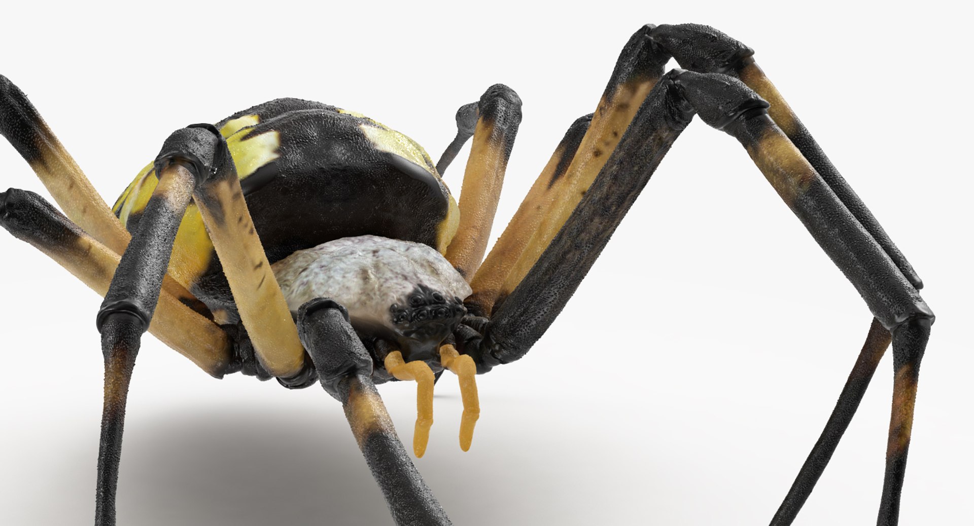 Rigged Creeping Insects Collection 3 model https://p.turbosquid.com/ts-thumb/x4/8ozq9L/tV/riggedcreepinginsectscollection3mb3dmodel068/jpg/1649709836/1920x1080/fit_q87/e7c3647ab37c728e13ae2079ecc468563726720c/riggedcreepinginsectscollection3mb3dmodel068.jpg