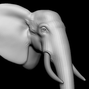 elephant head base mesh 3D model