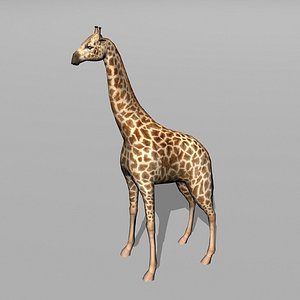 3d giraffe uv