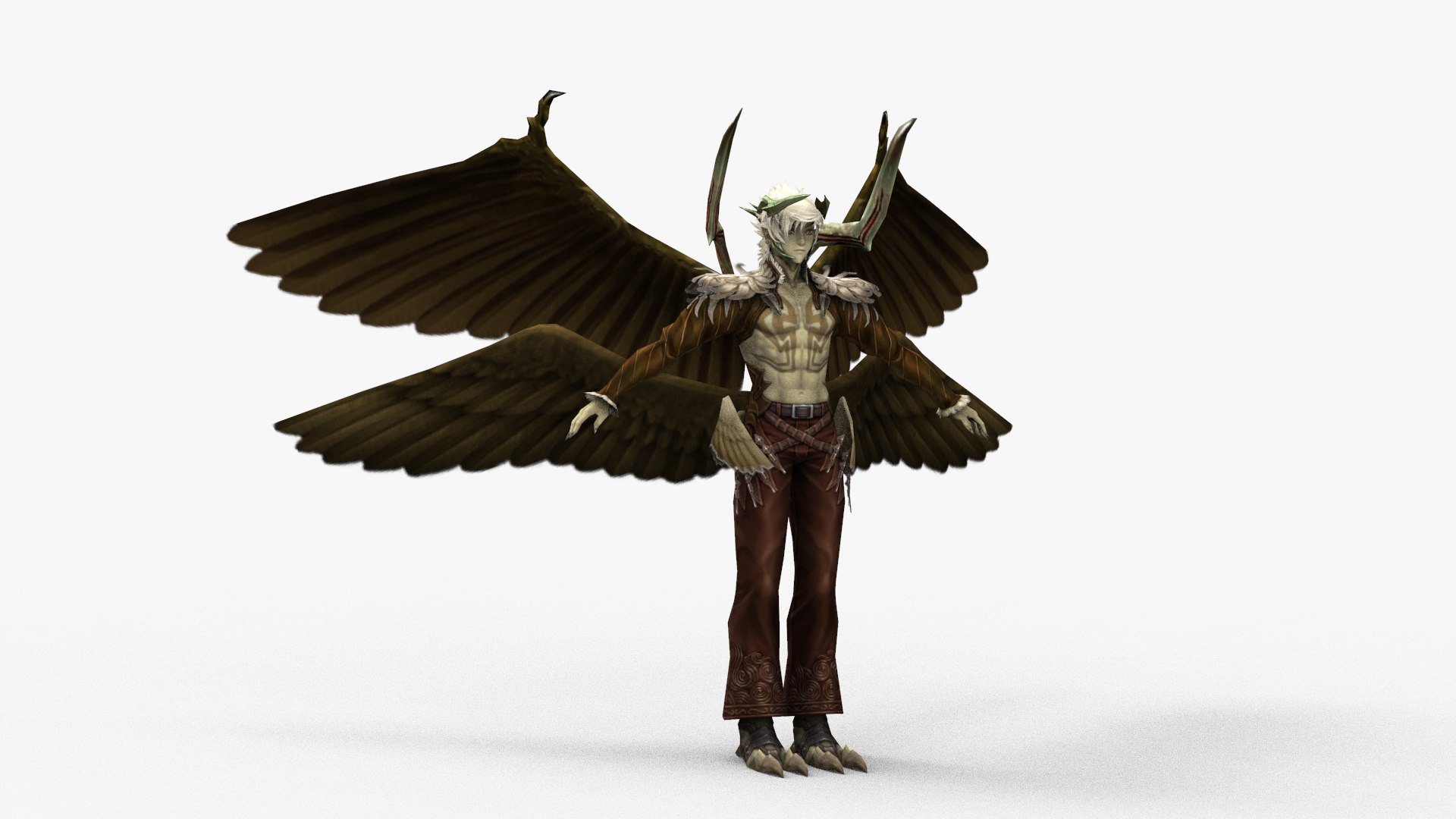 3D Fergus-bird Man - TurboSquid 1715840