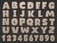 字母