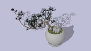 3D Chinese-Style Bonsai