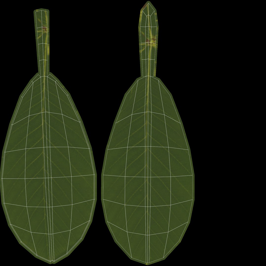 3D plant design modeled https://p.turbosquid.com/ts-thumb/x4/Vr9puU/7k4x9CvI/leaves/png/1579772713/1920x1080/fit_q87/ce871c9b4d2057e1777e237cef5541f8645f55bf/leaves.jpg