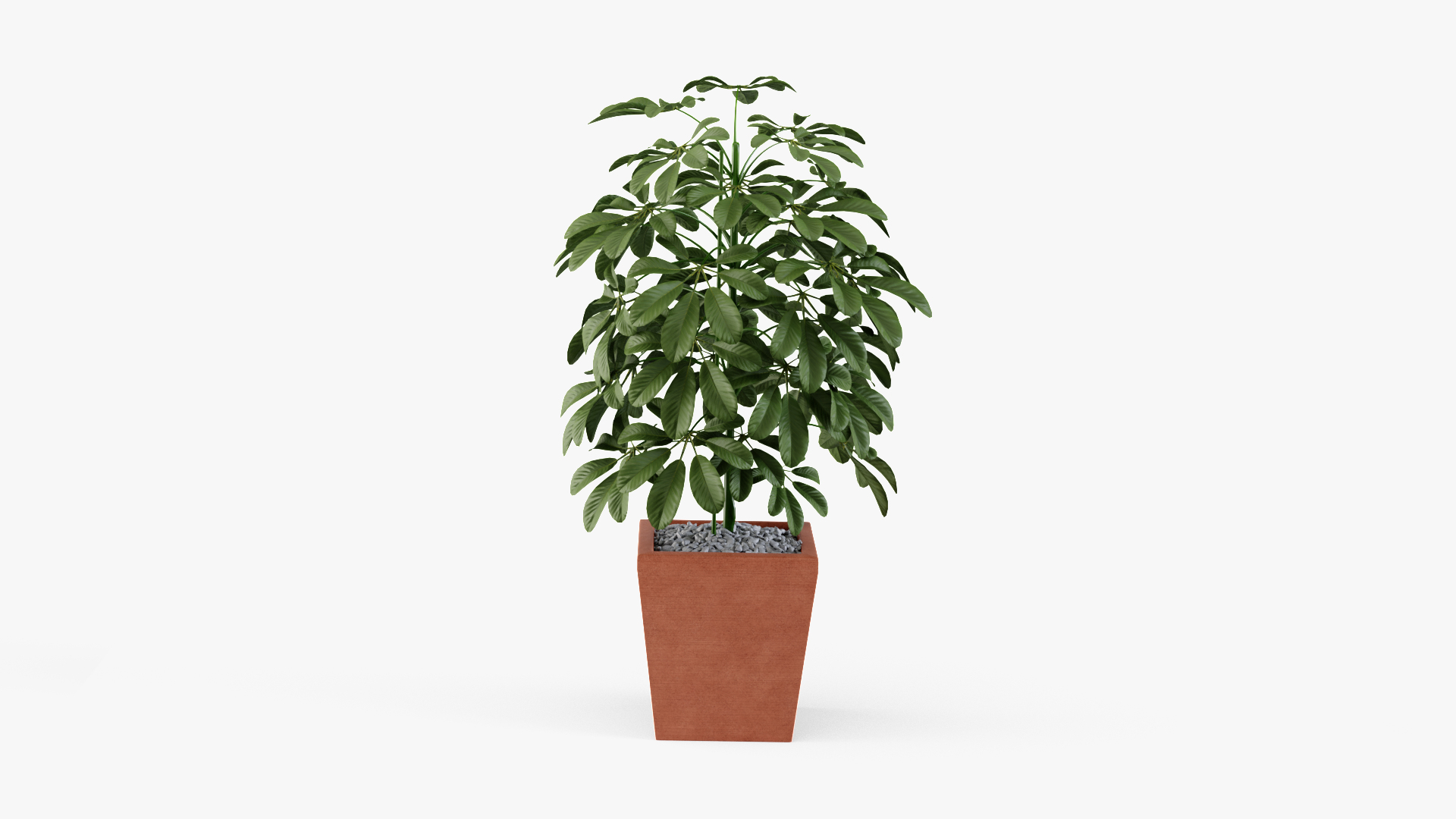 3D plant design modeled https://p.turbosquid.com/ts-thumb/x4/Vr9puU/C2Lq8h6I/a/png/1579773887/1920x1080/turn_fit_q99/b11c9ba4e1c20b62e06fd7c578cf8d7d7044e541/a-1.jpg